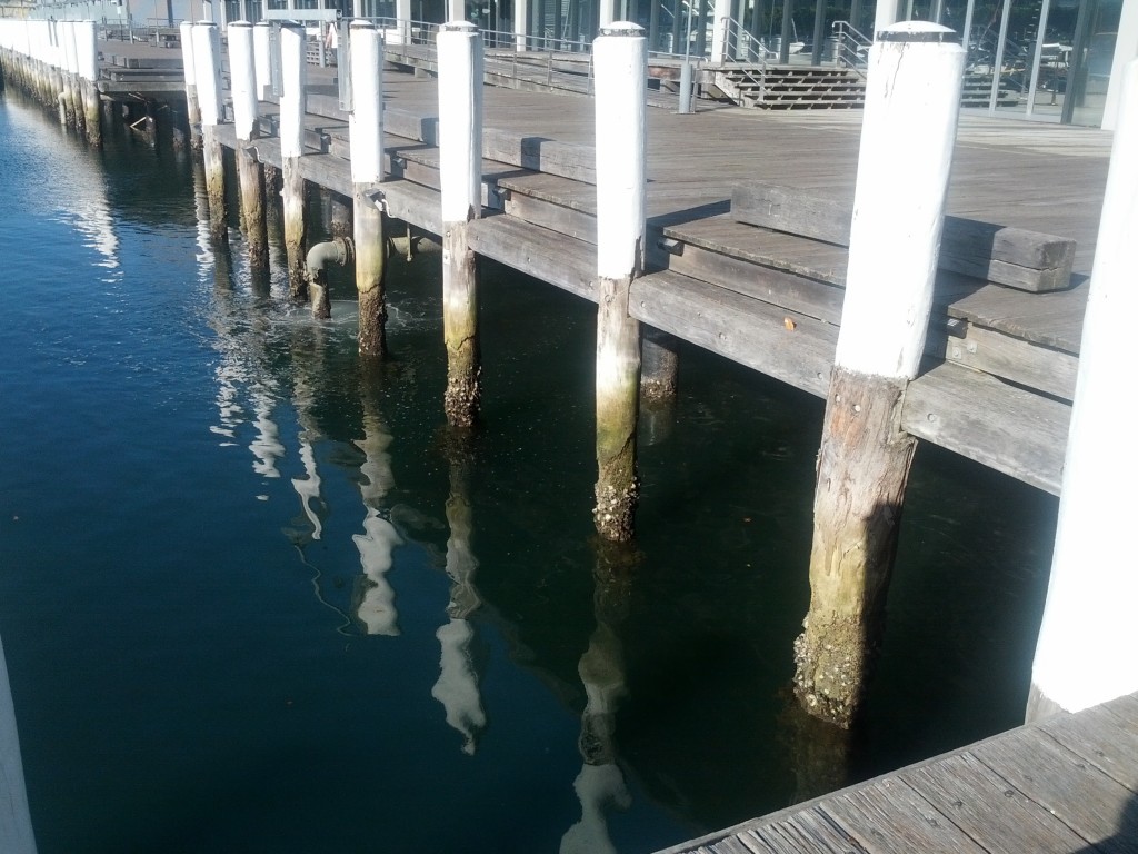 Mysterious discharge from a mysterious pipe slung under a pier.