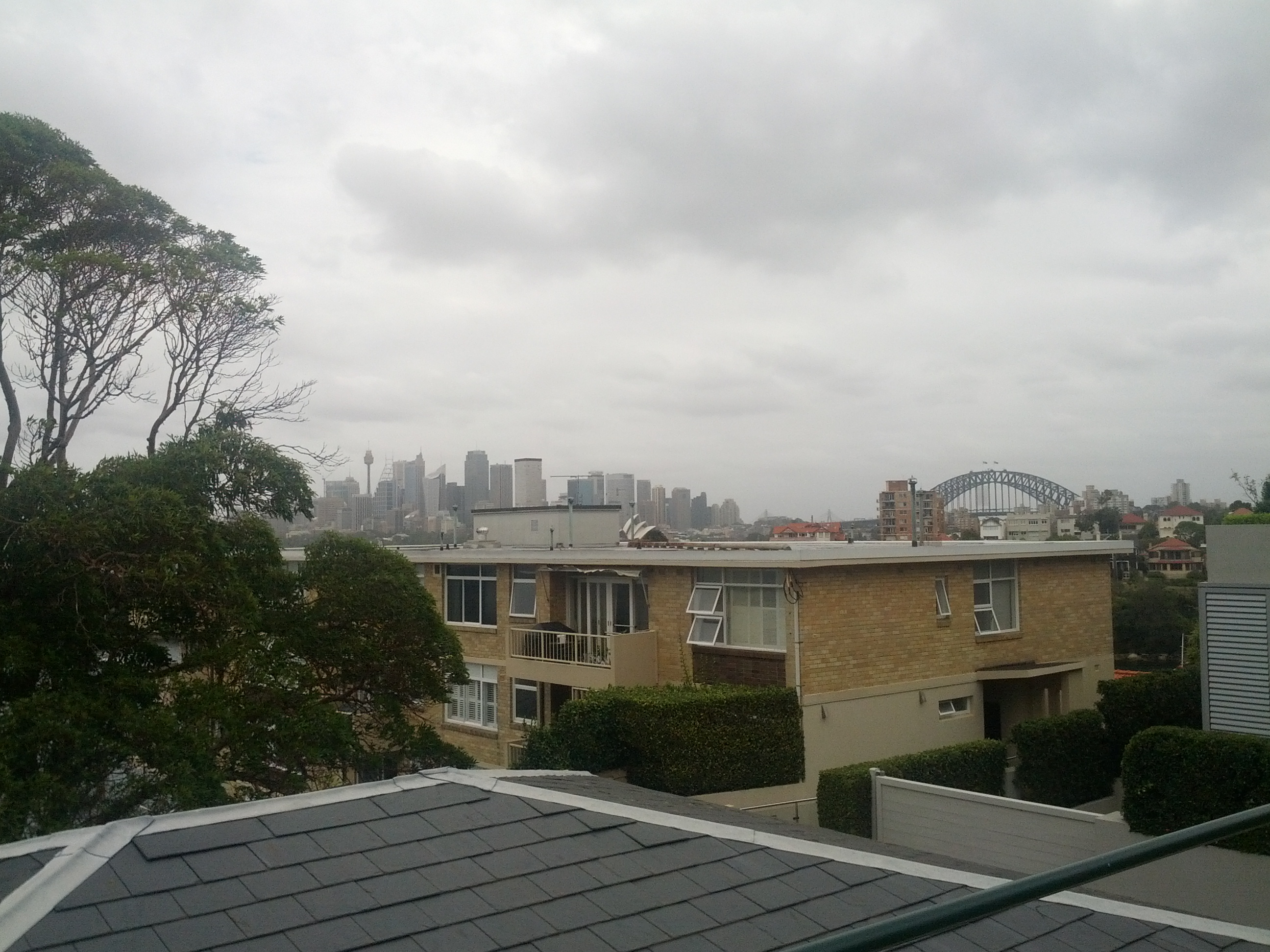 Looking out back towards Sydney