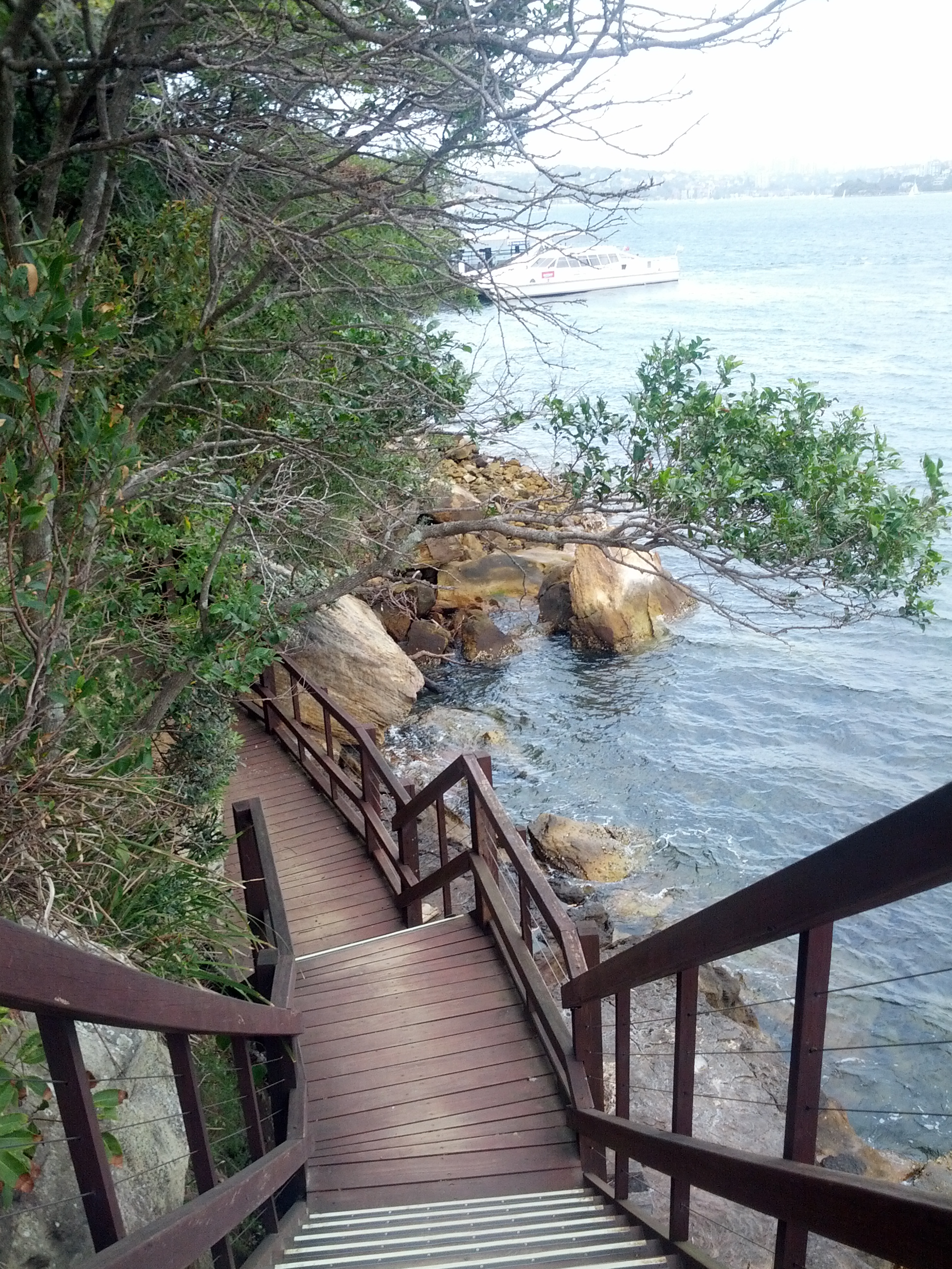 Walking out behind Sydney Zoo towards the ferry dock.