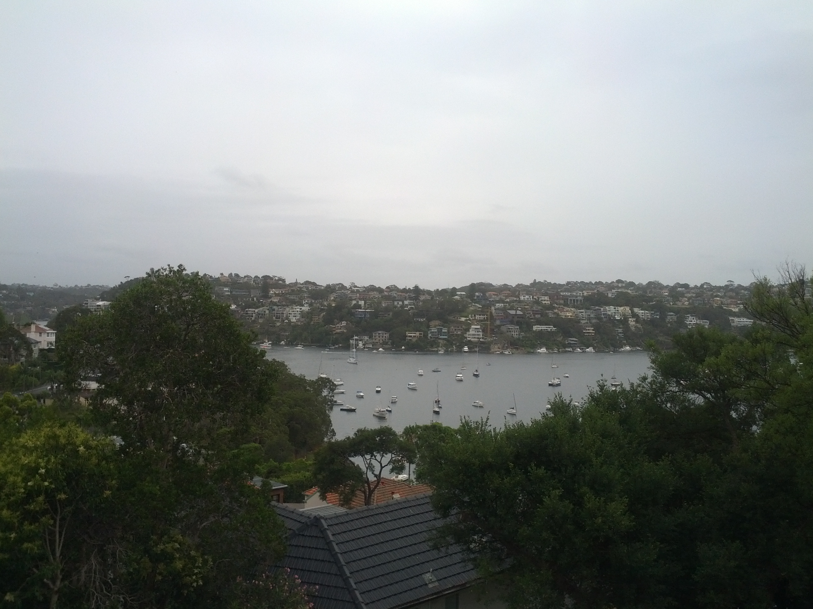 Walking down towards Spit Point Bridge. Just about every cove I see has a marina situated in it, must be almost as many boats as cars in Sydney.